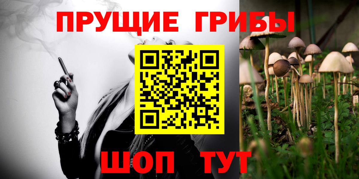 Нерюнгри  Галлюциногенные грибы Psilocybe  Вход с VPN  купить   Галлюциногенные грибы MAGIC MUSHROOMS 
